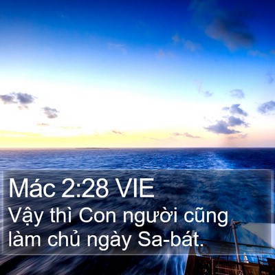Mác 2:28 VIE Bible Verse Image