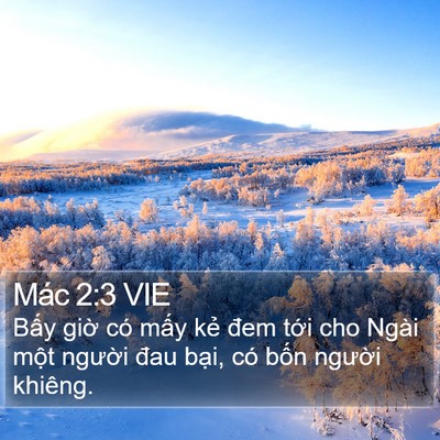 Mác 2:3 VIE Bible Verse Image