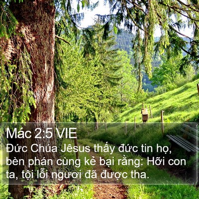 Mác 2:5 VIE Bible Verse Image