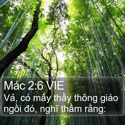 Mác 2:6 VIE Bible Verse Image