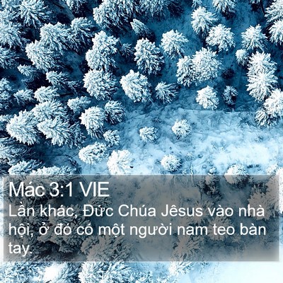 Mác 3:1 VIE Bible Verse Image
