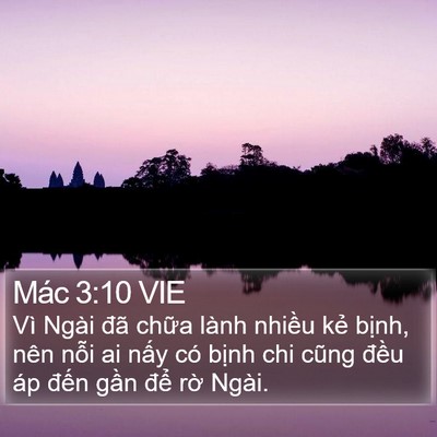 Mác 3:10 VIE Bible Verse Image