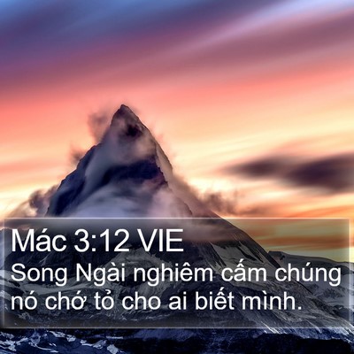 Mác 3:12 VIE Bible Verse Image