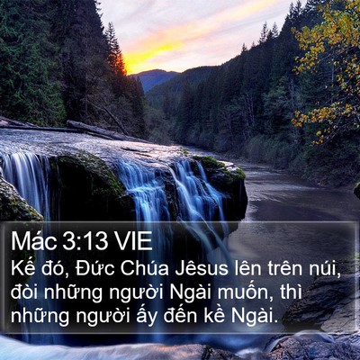 Mác 3:13 VIE Bible Verse Image