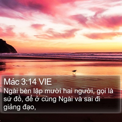 Mác 3:14 VIE Bible Verse Image