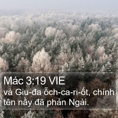 Mác 3:19 VIE Bible Verse Image
