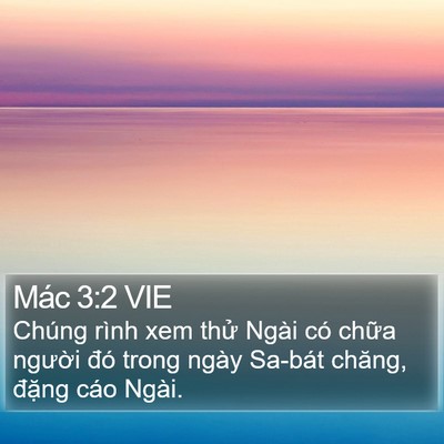Mác 3:2 VIE Bible Verse Image