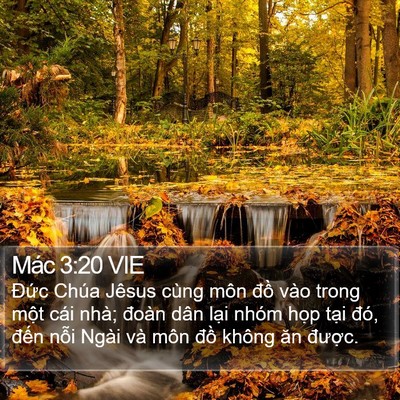 Mác 3:20 VIE Bible Verse Image