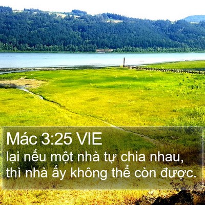 Mác 3:25 VIE Bible Verse Image