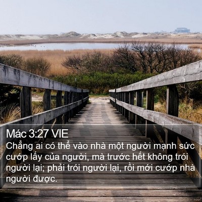 Mác 3:27 VIE Bible Verse Image