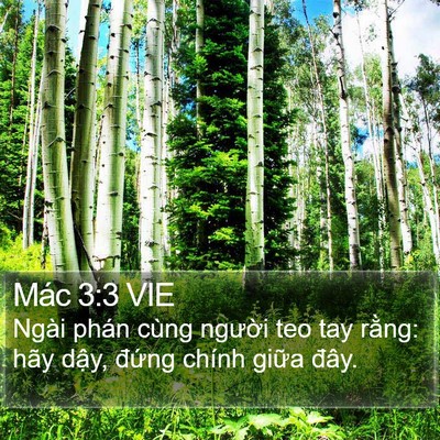 Mác 3:3 VIE Bible Verse Image