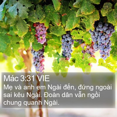 Mác 3:31 VIE Bible Verse Image