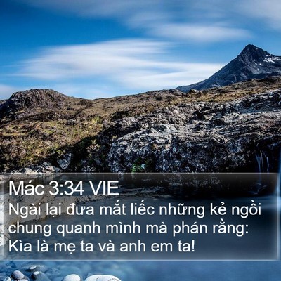 Mác 3:34 VIE Bible Verse Image