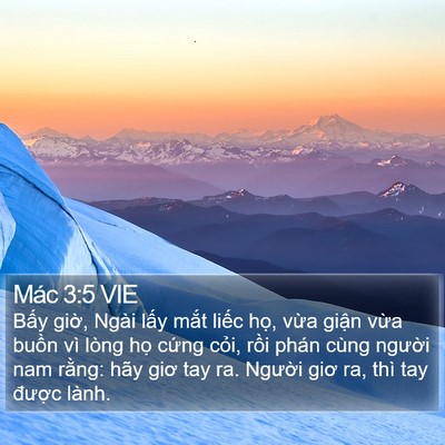 Mác 3:5 VIE Bible Verse Image