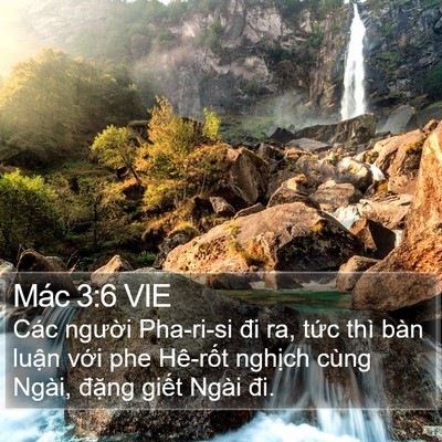 Mác 3:6 VIE Bible Verse Image