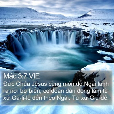 Mác 3:7 VIE Bible Verse Image