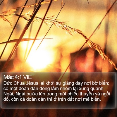 Mác 4:1 VIE Bible Verse Image
