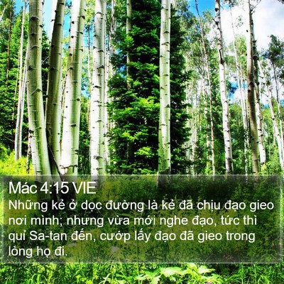 Mác 4:15 VIE Bible Verse Image