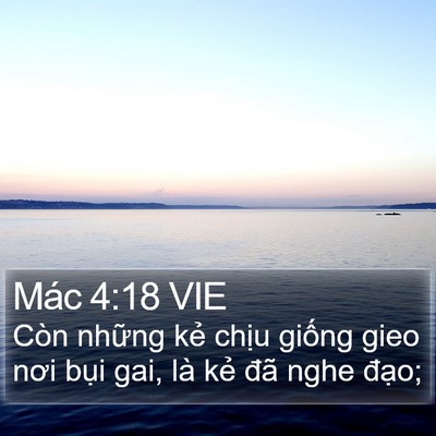 Mác 4:18 VIE Bible Verse Image