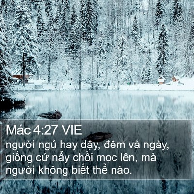 Mác 4:27 VIE Bible Verse Image