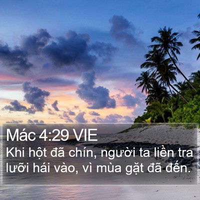 Mác 4:29 VIE Bible Verse Image