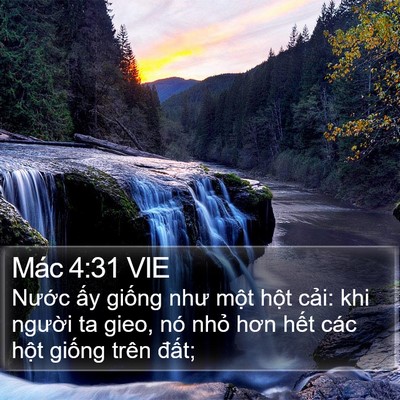 Mác 4:31 VIE Bible Verse Image