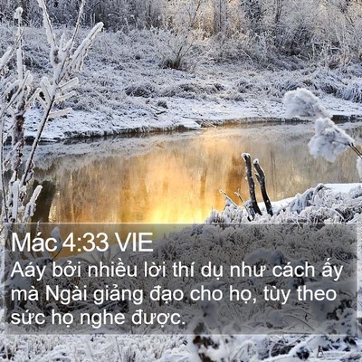 Mác 4:33 VIE Bible Verse Image