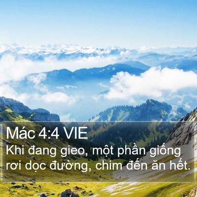 Mác 4:4 VIE Bible Verse Image