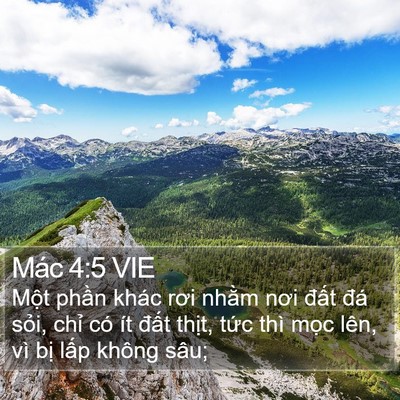 Mác 4:5 VIE Bible Verse Image