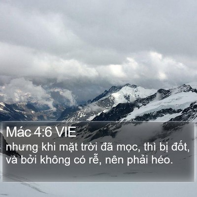 Mác 4:6 VIE Bible Verse Image