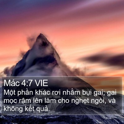 Mác 4:7 VIE Bible Verse Image