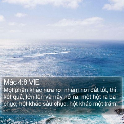 Mác 4:8 VIE Bible Verse Image