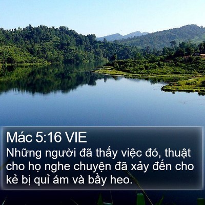Mác 5:16 VIE Bible Verse Image