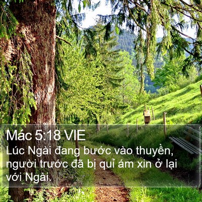 Mác 5:18 VIE Bible Verse Image
