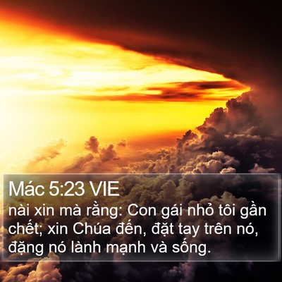 Mác 5:23 VIE Bible Verse Image