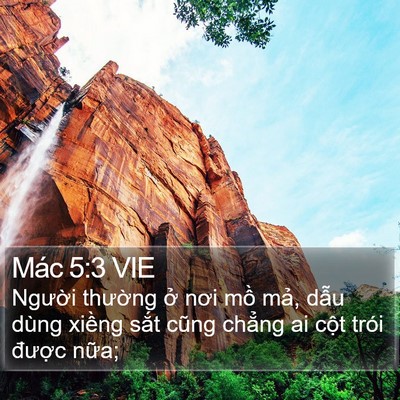 Mác 5:3 VIE Bible Verse Image