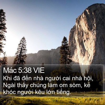 Mác 5:38 VIE Bible Verse Image