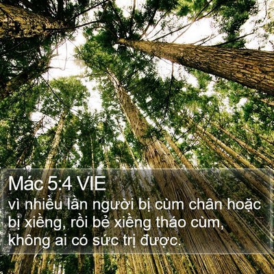 Mác 5:4 VIE Bible Verse Image