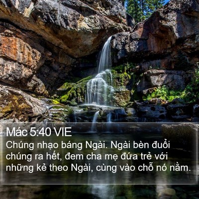 Mác 5:40 VIE Bible Verse Image