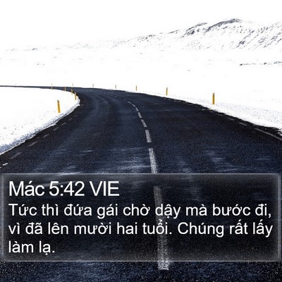 Mác 5:42 VIE Bible Verse Image