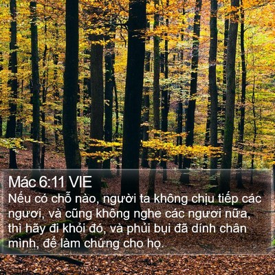 Mác 6:11 VIE Bible Verse Image