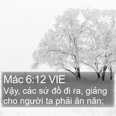 Mác 6:12 VIE Bible Verse Image