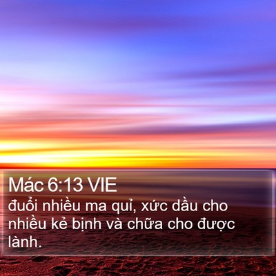 Mác 6:13 VIE Bible Verse Image