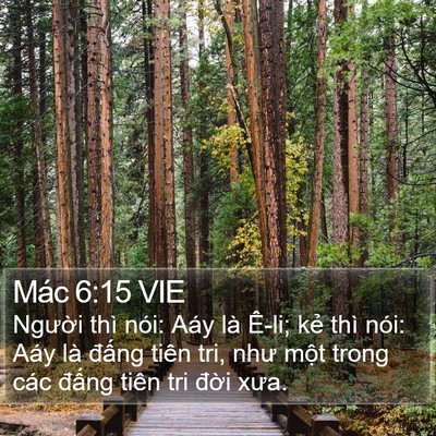 Mác 6:15 VIE Bible Verse Image