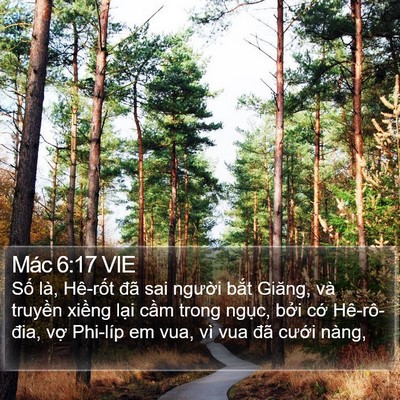Mác 6:17 VIE Bible Verse Image