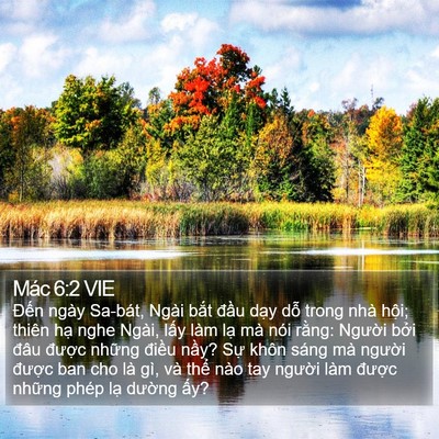 Mác 6:2 VIE Bible Verse Image