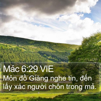 Mác 6:29 VIE Bible Verse Image