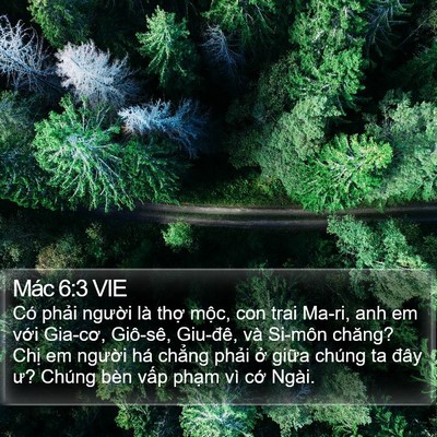 Mác 6:3 VIE Bible Verse Image
