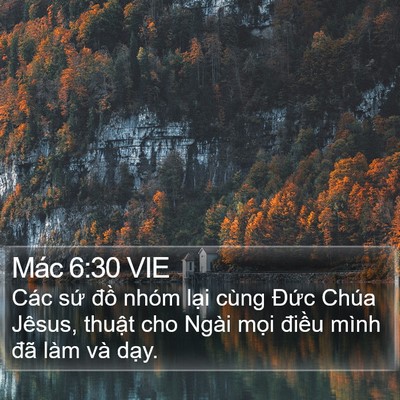 Mác 6:30 VIE Bible Verse Image
