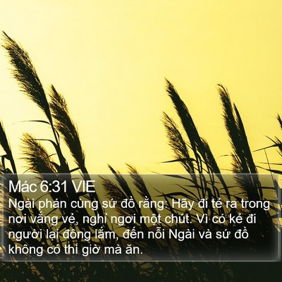 Mác 6:31 VIE Bible Verse Image